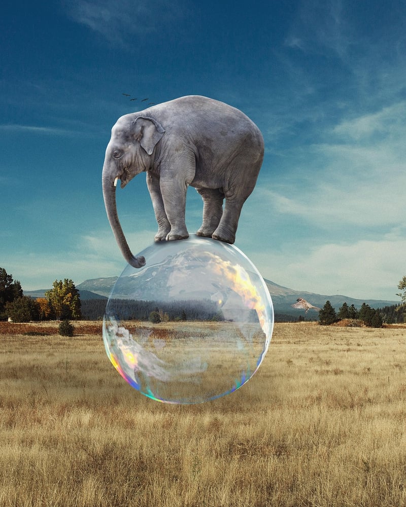 Whimsical Photos